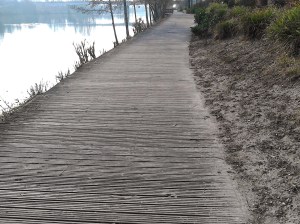 Les planches de Mantes-la-Jolie